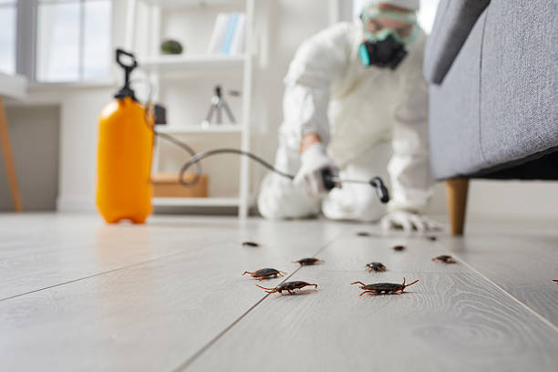 Commercial Kitchen Cockroach Control in Sayreville